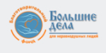 Благотворительный фонд БОЛЬШИЕ ДЕЛА