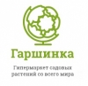 Гаршинка гипермаркет садовых растений