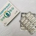 ХОНДРОНЬЮ. 